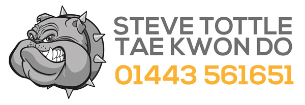 Steve Tottle Tae Kwon Do